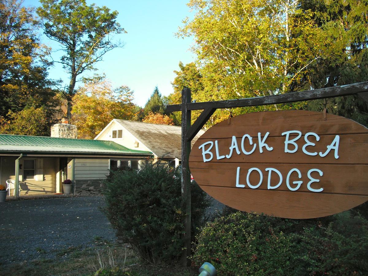 Black Bear Lodge Prattsville Exterior foto